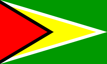 国旗, 圭亚那