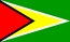 国旗, ガイアナ