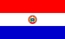 国旗, 巴拉圭