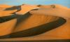 Dunes & Wildlife Safari