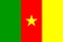 Riigilipp, Kamerun