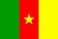 Riigilipp, Kamerun
