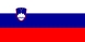 国旗, 斯洛文尼亚