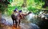 Khao Yai National Park